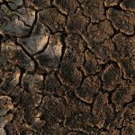 a close up of a dirt field with small rocks