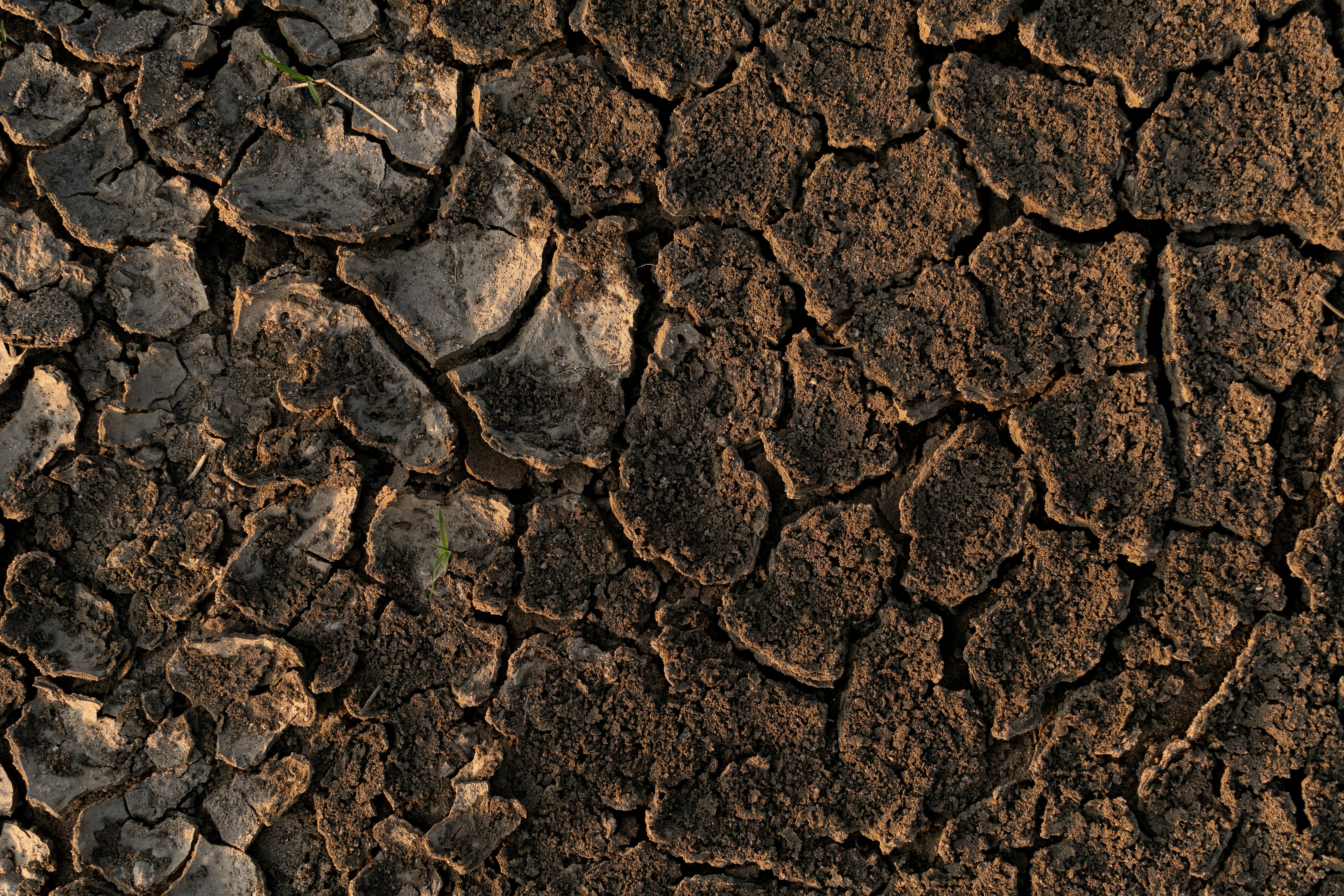 a close up of a dirt field with small rocks