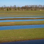 green grass field near body of water during daytime