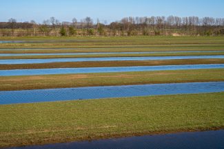 green grass field near body of water during daytime