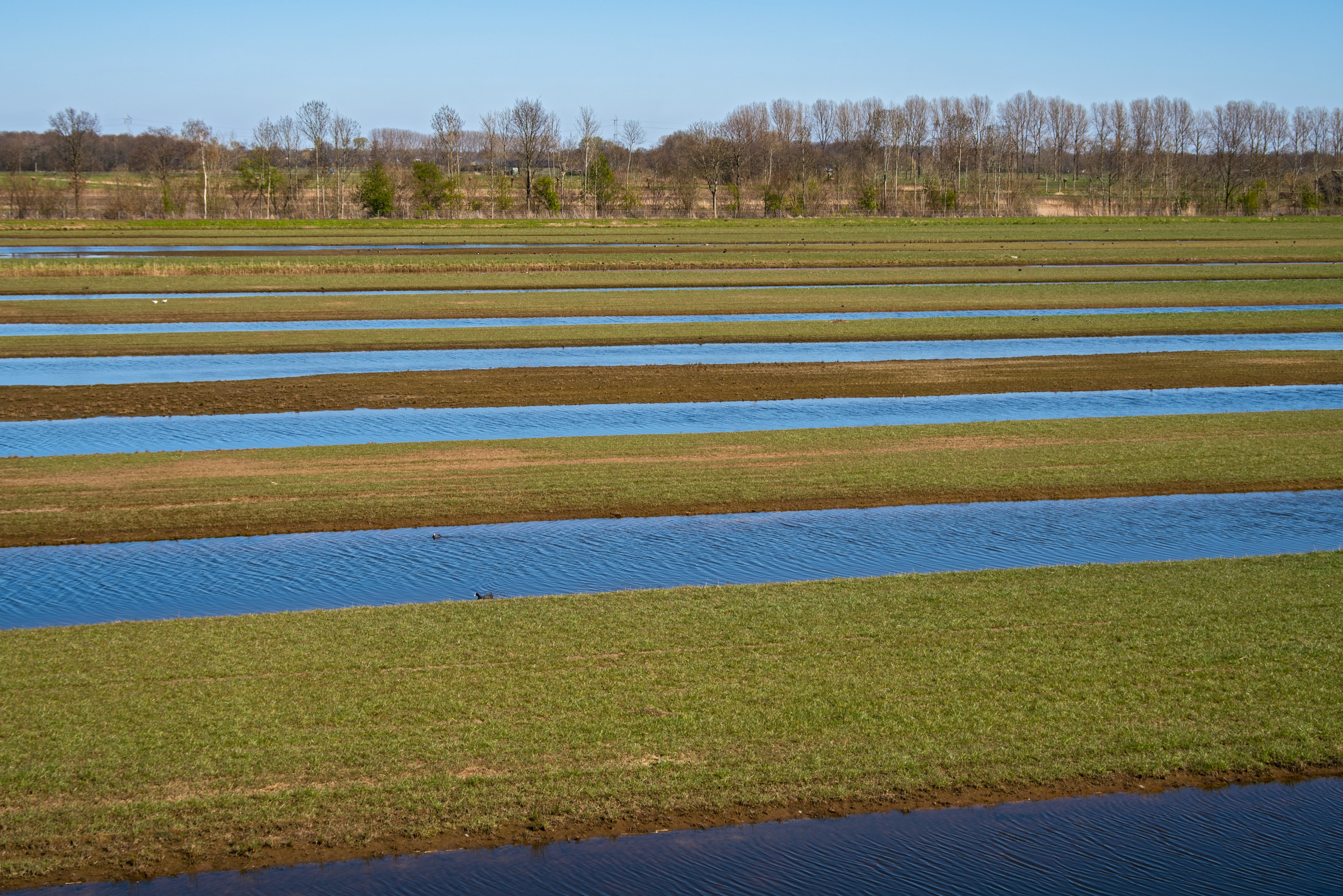 green grass field near body of water during daytime