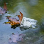 Plastic trash and leaves floating on water