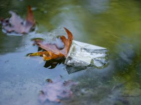 Plastic trash and leaves floating on water