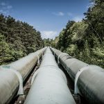 a train traveling through a forest filled with lots of trees