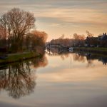 body of water near trees during daytime