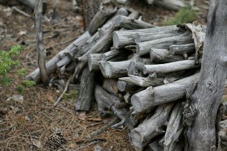 a pile of cut logs