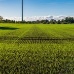 Rows of green crops stretch towards a distant wind turbine.