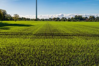 Rows of green crops stretch towards a distant wind turbine.