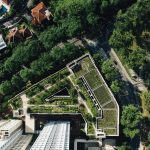 aerial photo of green leaf trees and buildings