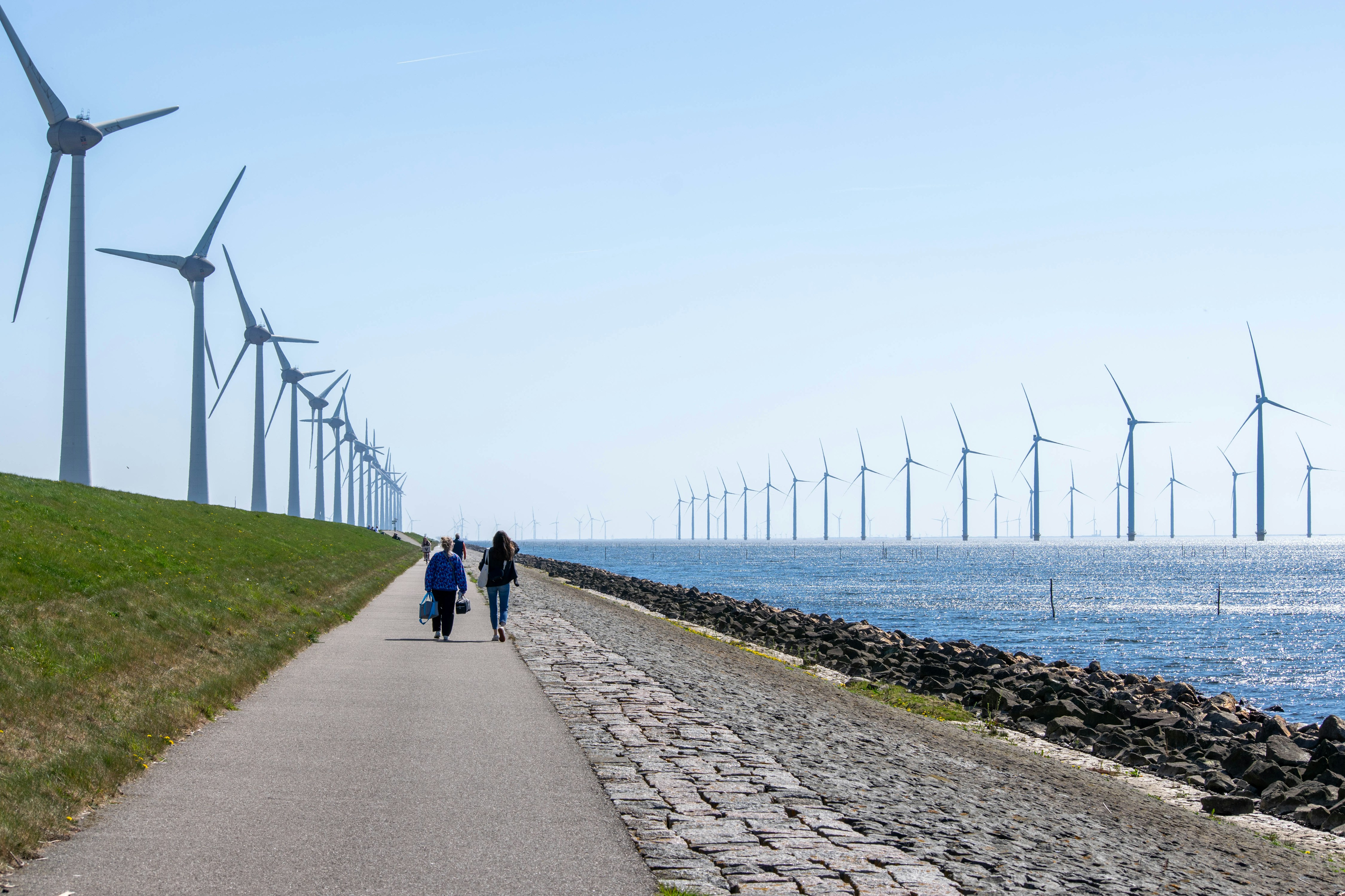 Wind turbines stand in a line along the coast.