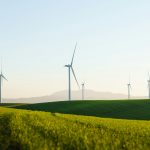 a field of green grass with wind turbines in the background