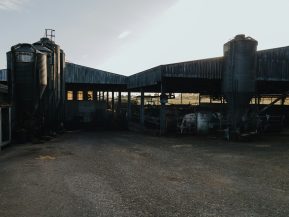 Farm buildings with silos and livestock pens.