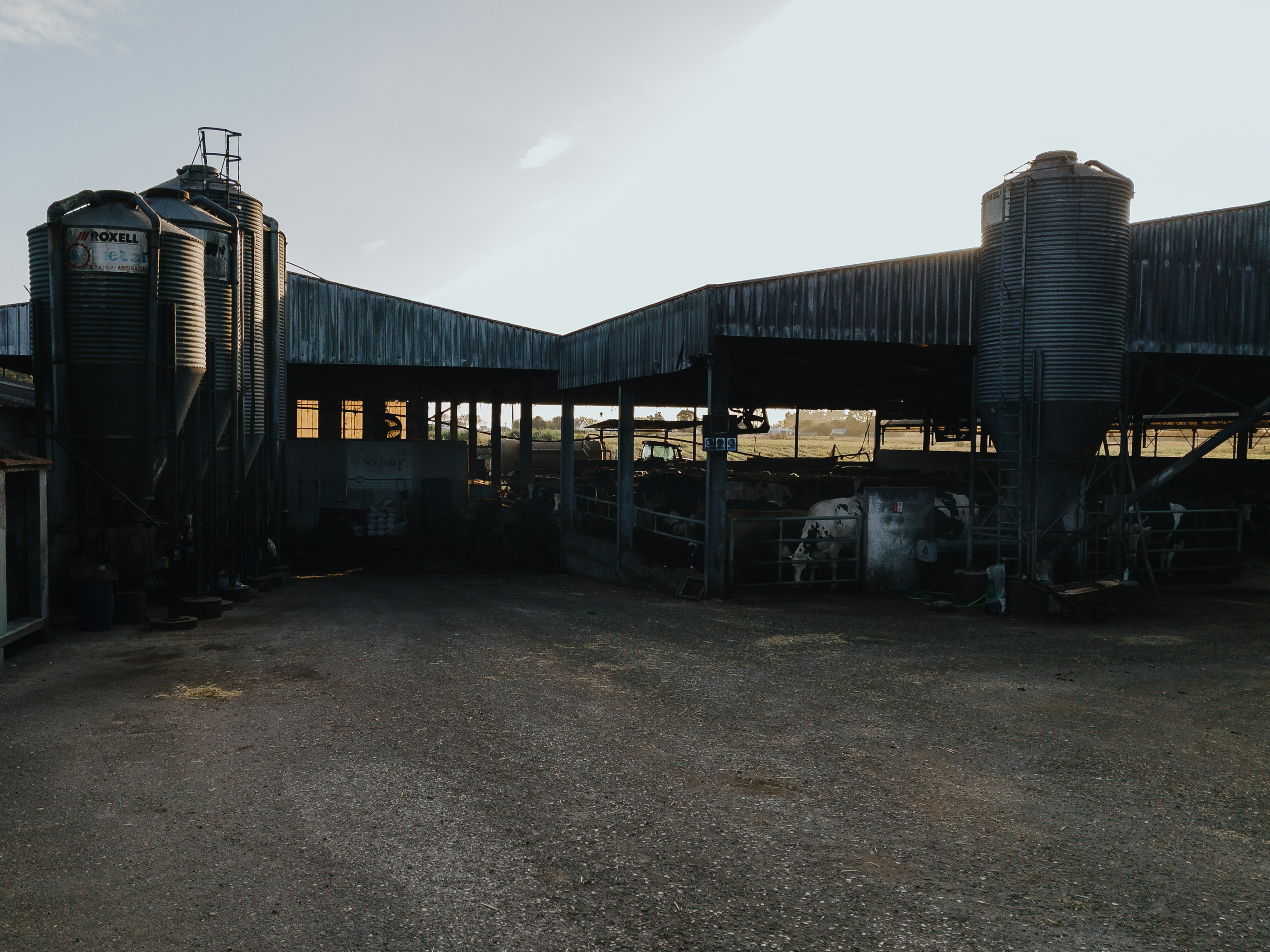 Farm buildings with silos and livestock pens.