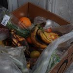 orange fruits on brown cardboard box